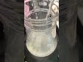 Refreshing summer drink|#summer|#drink |#shorts |#youtubeshorts |#viral |#short #youtubeapp