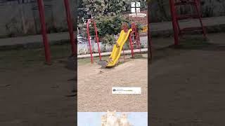 Diaorg Yg Seronok Main Aku Rasa Cm Nk Join Jgk monyetlucu monyet