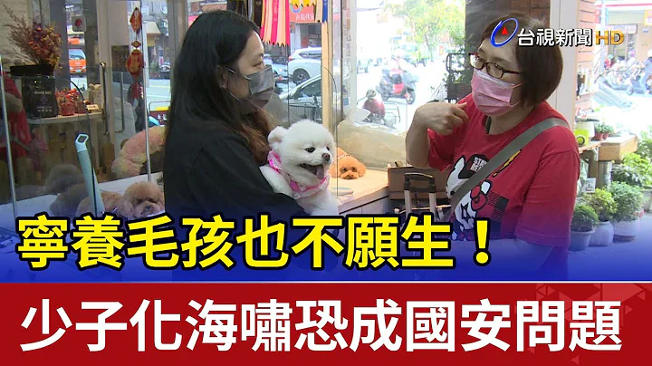 宁养毛孩也不愿生！ 少子化海啸恐成国安问题 - 天天要闻