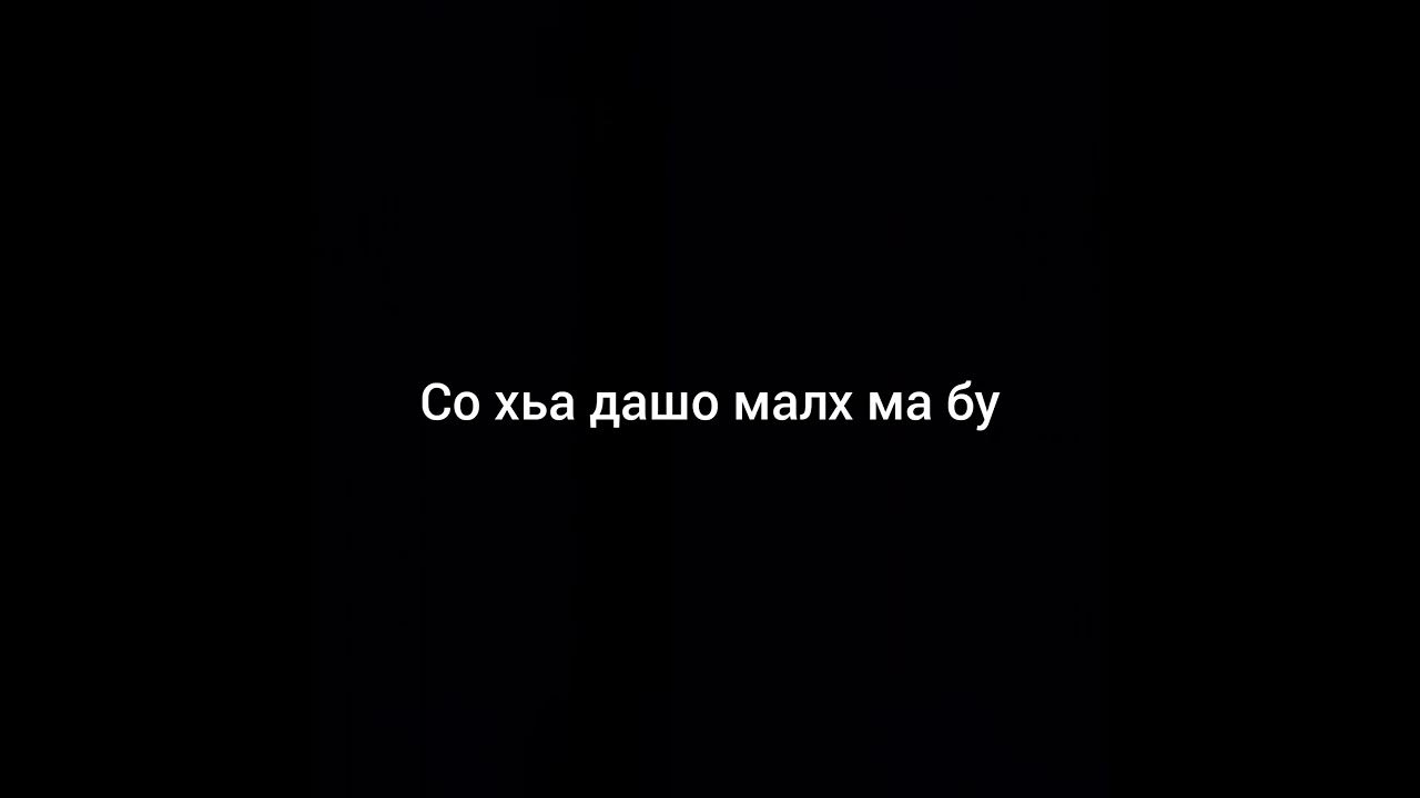 Ма лепа дашо малх. Малха лепа. Ма лепа дашо малх къонахи боцучу. Ма лепа дашо малх. Ма лепа дашо малх.