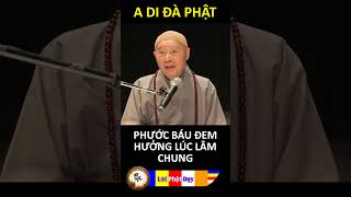 PHƯỚC BÁU ĐEM HƯỞNG LÚC LÂM CHUNG | Pháp Sư Tịnh Không | Phật Pháp Nhiệm Màu