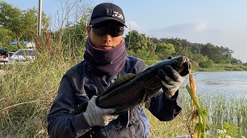 Cùng Anh Hàn Kéo Cá Khủng 가물치낚시