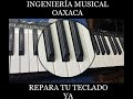 Como reparar teclas Piano-Teclado // INGENIERIA MUSICAL OAXACA