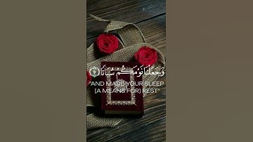 تلاوة من سورة النبا ❤️❤️❤️