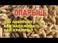 Опарыш | Как насаживать | Что ловится | Как хранить |  Рыбалка|Fishing|Наживка