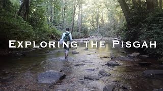 A Weekend Fly Fishing the Pisgah National Forest