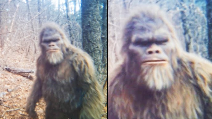 My Trail Camera Captured This Bigfoot Footage, Then the Worst Happened - Sasquatch Story