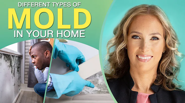 Mold Toxicity | Different Types of Mold in Your Home | Dr. J9 Live