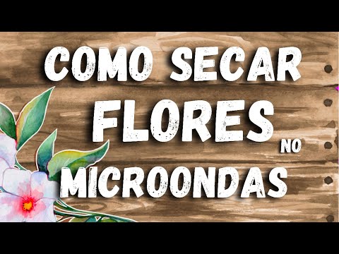 COMO SECAR FLOR RÁPIDO desidratar flores Super Fácil no microondas