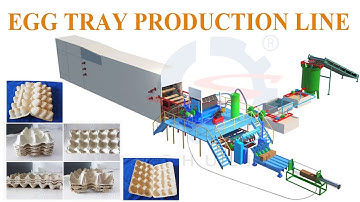 Egg Tray Production Line in Action | Efficient & Eco-Friendly Manufacturing#eggtraymachine
