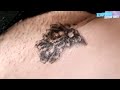 Temporary tattoo  magic tattoo black rose  015