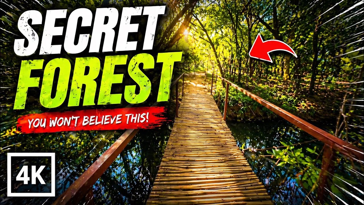 Secret Forest near Delhi | Nature Walk Tour | 4K HDR