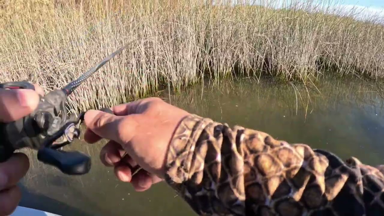 Bass Fishing W/Miguel Rivas & Seth Hustava Episode 14