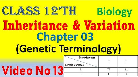genetic terminology chapter 3 biology Inheritance and Variation class 12