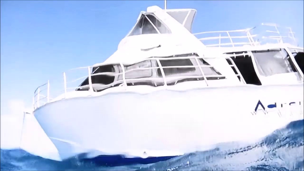 TOURING NORTH QUEENSLAND & THE BARRIER REEF  IIII    BILLY B  AUSTRALIA