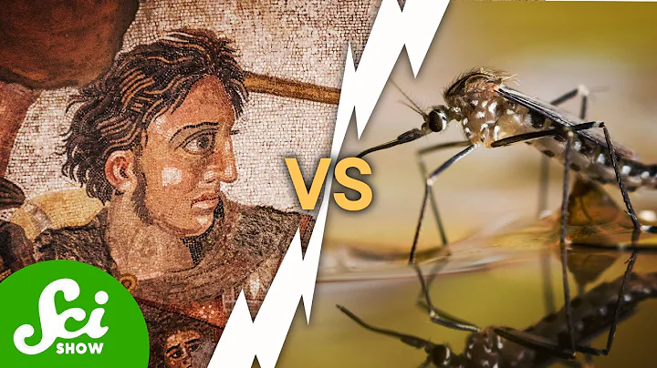 Alexander The Great Was Killed By A Mosquito
