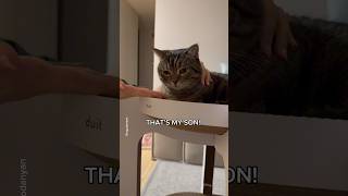 He's my son, no matter what anyone says😍 #shorts #cat #funny