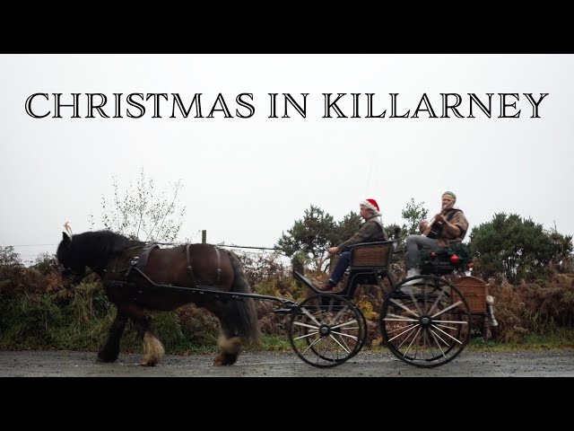 Rend Collective - Christmas In Killarney