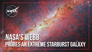 NASA's Webb Probes an Extreme Starburst Galaxy