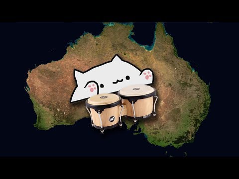 Bongo Cat - Down Under