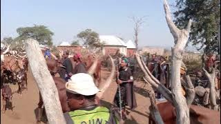 MPANDA SIBWESA YA MTAPENDA NG'WANA JISHA Msambazaji jileka mapanda TV 2025