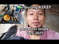 Merawat anakan burung KEKEP .Versi 2021.