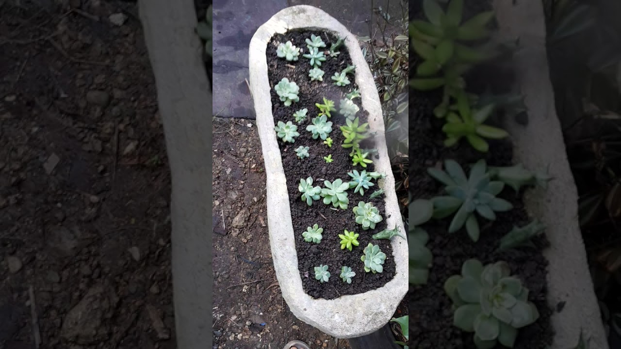 Refrescando las vistas y  las mentes.