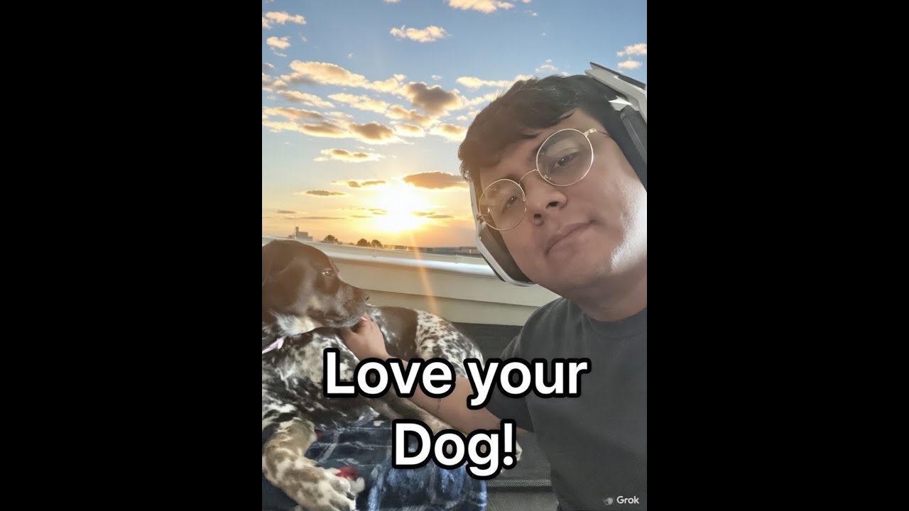 Love your Dog!