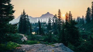 Forest 4K - Relaxing Nature Video, Calm Music with Stunning Views