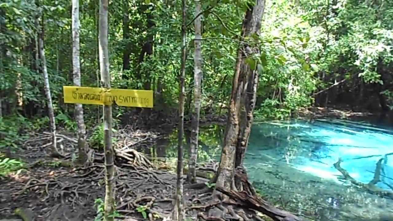 The Blue Pool, a short walk from the Emerald Pool (Sra Morakot) in Krabi Thailand.