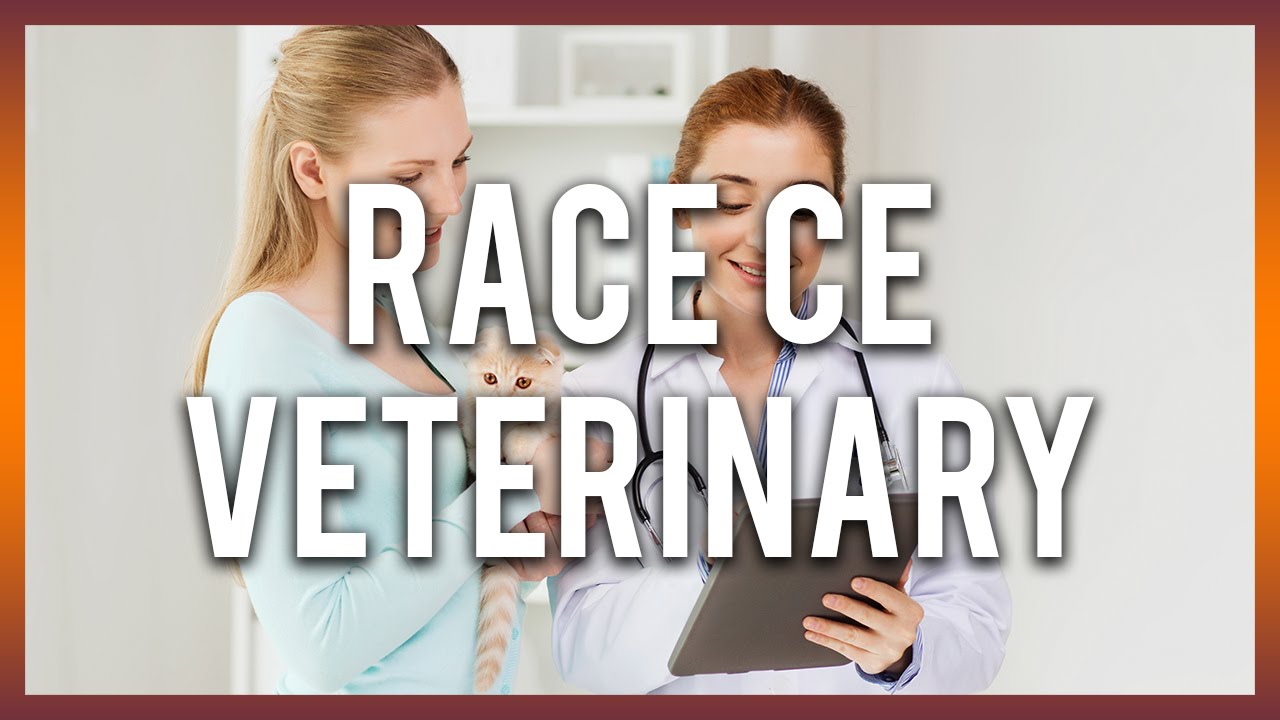 online veterinary continuing education courses