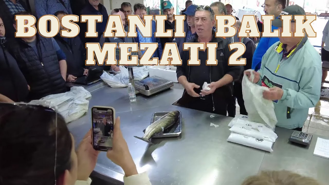 Впечатления от рыбного аукциона в Бостанлы! | Рыбный рынок Измира 2 🐟🎥 | 4К 60 кадров в секунду