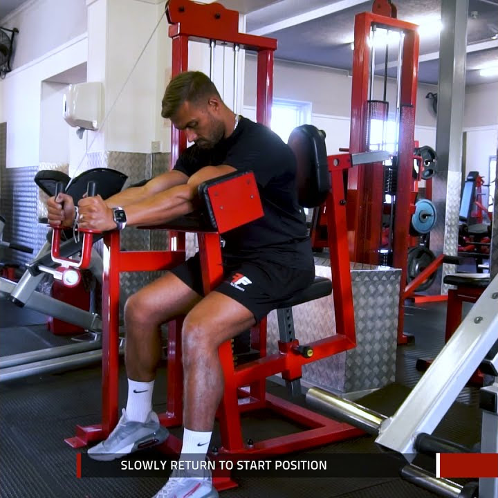 Seated Tricep Pushdown Machine