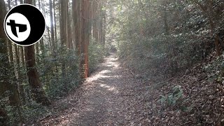 多度山・瀬音の森コース・マウンテンバイク // YANS 20240313