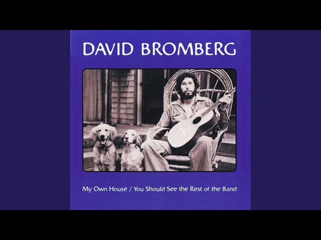 David Bromberg - Sheebeg And Sheemore