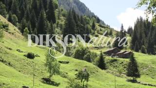 Dikson Natura натуральная линия для волос Косметики Диксон - Видео от BestKosmetika БестКосметика