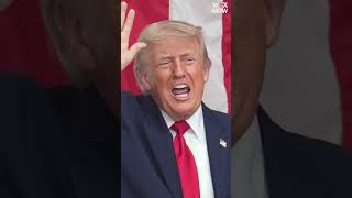 Donald Trump publicly praised companies within days of buying their stocks