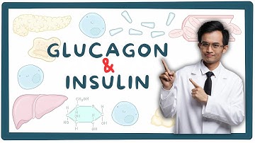 Insulin & Glucagon: Chìa Khóa Giảm Cân, Kiểm Soát Đường Huyết và Sức Khỏe Toàn Diện