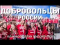 Добровольцы России | Комментарии иностранцев