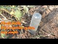 Plastic bottle, drip irrigation system, very simple EP.1 | Country garden