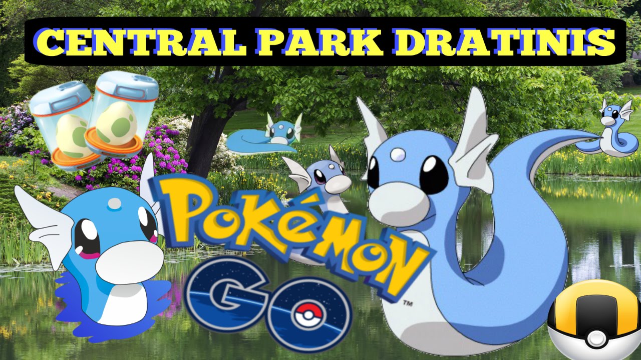 RARE DRATINIS AND 5KM EGG HATCH CENTRAL PARK NYC POKEMON GO