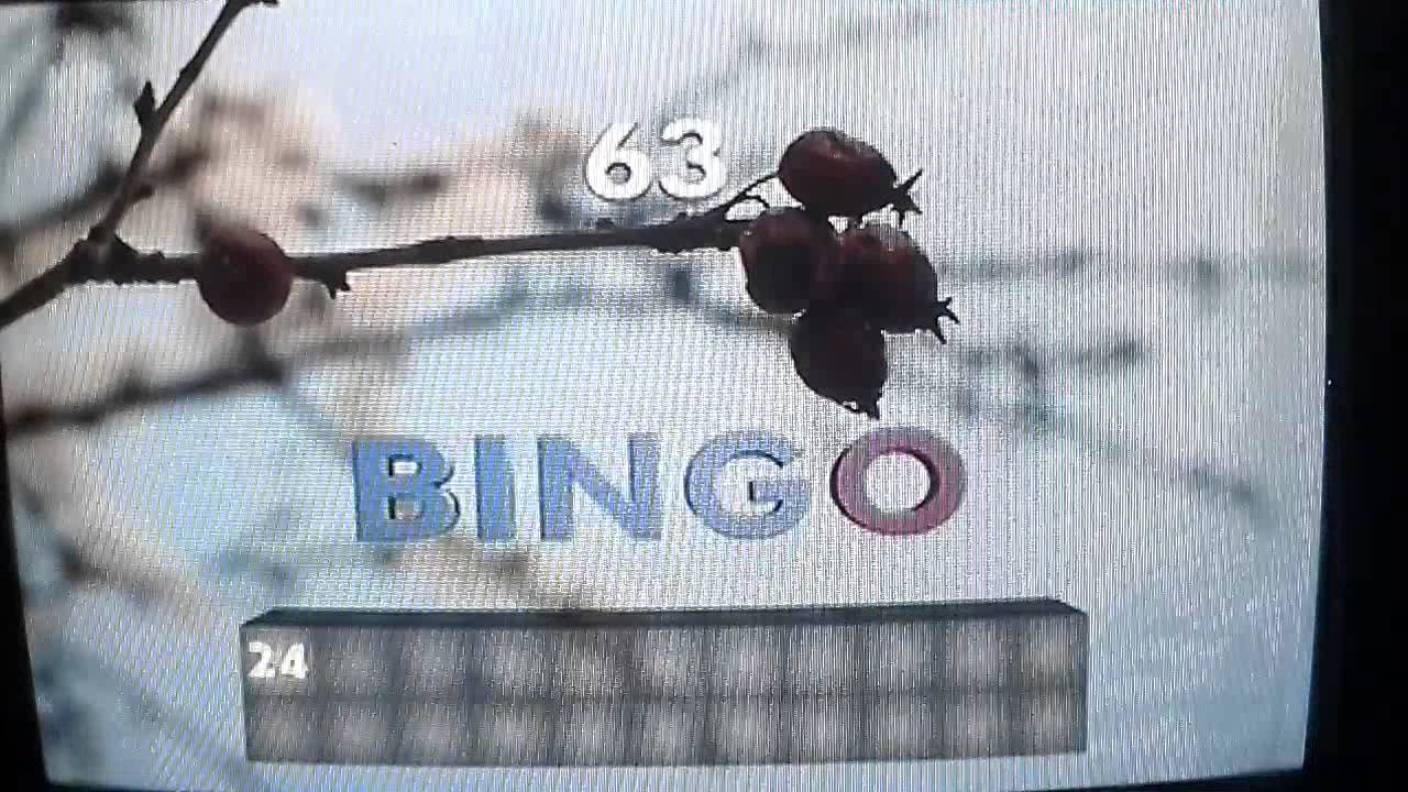 Bingo Die Umweltlotterie