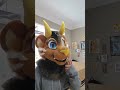 Now you guys know 🥹.. #furryfandom #furry #fursuit #horns #manticore