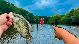 Crappie Fishing was TOUGH Until I Noticed THIS!! ** CRAPPIE EVERY CAST!!