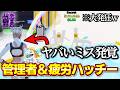 管理者イベントで疲労ハッチー発動してメンヘラモード突入!!!!