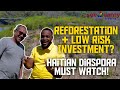 Visiting a Tree Farm in Saint Marc, Haiti - SeeJeanty