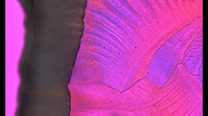 Freeze-Dry Microscopy Video