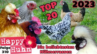 TOP 20 Die beliebtesten Hühnerrassen 2023 - HAPPY HUHN E310 - Barnevelder, Marans, Brahma, Vorwerk