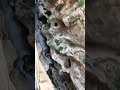 В реальности круче!