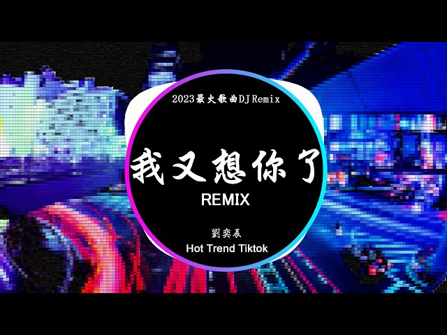 我又想你了 - 劉奕辰 (DJ抖音 Remix)【抖音热门歌曲】『夜深了卻還是睡不著, 只想聽到你的聲音。』抖音 Hot Tiktok Douyin | Baozhang Remix class=